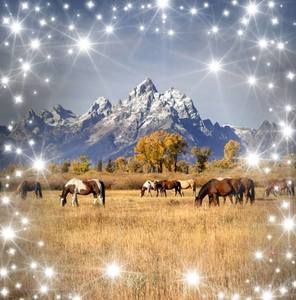 Meet your Posher, Kc